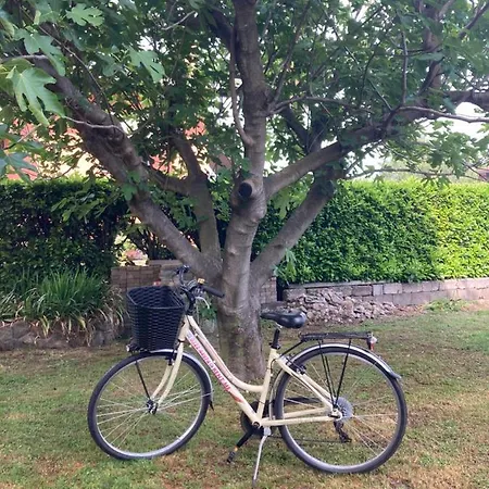 Draisina Bike Uno *